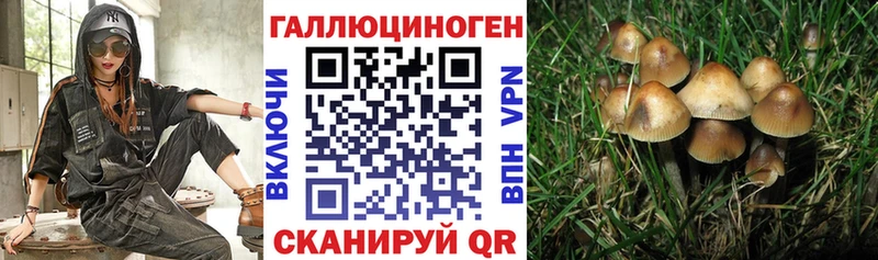 наркота  Пролетарск  Псилоцибиновые грибы Magic Shrooms 